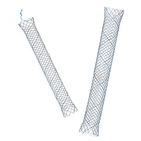 Biliary stent